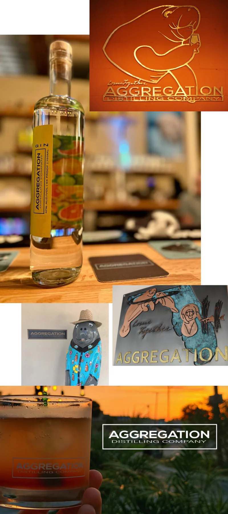 A collection of photos; a gin bottle on the bar; the metalwork sign of the Manny-with-snifter logo; the fiberglass Manny wearing his straw hat by the logo on the outside wall; the metalwork depiction of the manatee family logo. This piece of art is made entirely from colored metals - Grey Steel for the background, brass for the Aggregation text, polished copper for the manatee family, copper corroded to green for the state of florida, an come together tagline in burnt steel to get a color effect. An image of a 'Kings bay sunset' cocktail being held against the setting sun, showing the drink's namesake. A tagline in the lower left reads 'Create your story with us!'